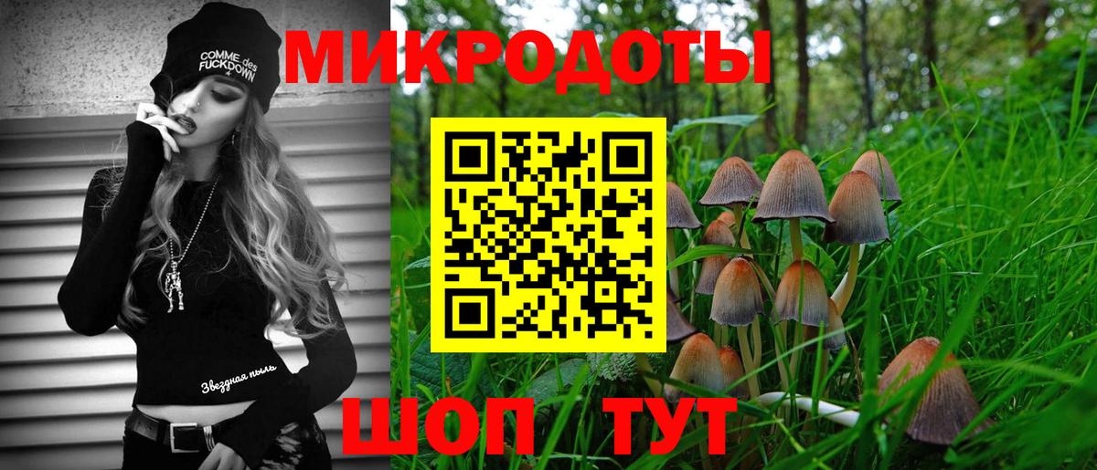 Галлюциногенные грибы Psilocybine cubensis  Вход с VPN  Кунгур 